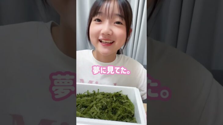 箱いっぱいの海ぶどう（念願） #shorts