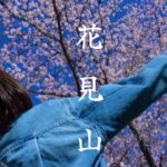 超絶景の春の桜山🌸一緒にあの山に行きませんか？🌸福島県花見山公園《Cherry Blossoms in Full Bloom – Spring Mountains of Japan》