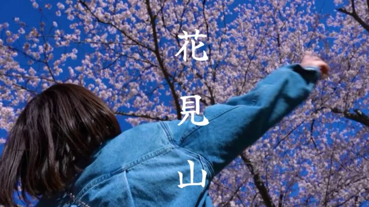 超絶景の春の桜山🌸一緒にあの山に行きませんか？🌸福島県花見山公園《Cherry Blossoms in Full Bloom – Spring Mountains of Japan》