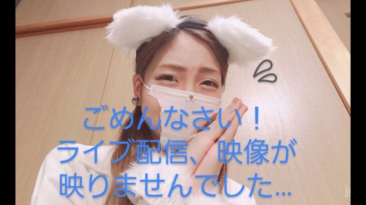 【ライブ配信のアクシデントについて】みゃあこの住処のWi-Fiが遅いせいで、映像が映らなかったみたいです・・・。【しろねこみゃあこサブチャンネル】