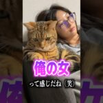 真剣にゲームをする妻を優しく見守る猫が最強に可愛すぎた… #可愛い  #カップル  #妻  #猫