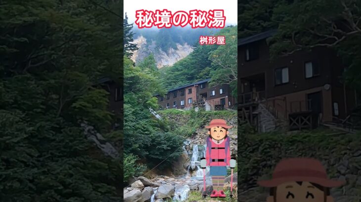【山形県の温泉】秘境の秘湯 姥湯温泉桝形屋 #源泉かけ流し #温泉 #shorts